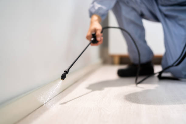 Certified termite inspector examining foundation in Greenbrier